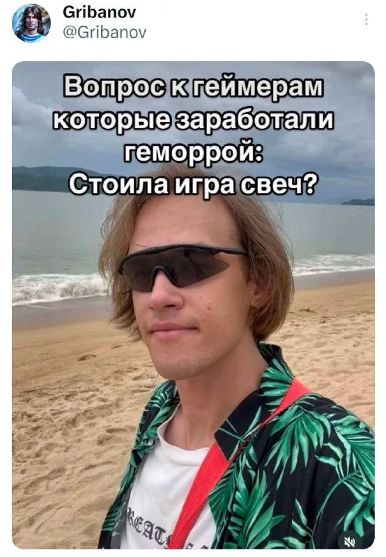 Мем дивижн