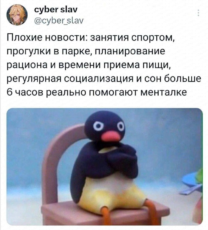 Мем дивижн