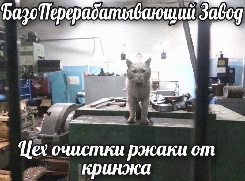 ZAVOD MEMOV ?