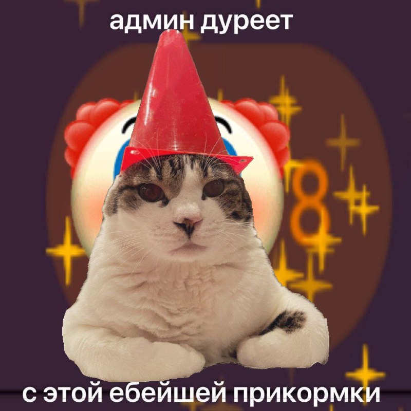 ZAVOD MEMOV ?