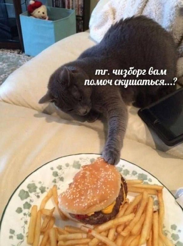 Обедовое ***🍽️***