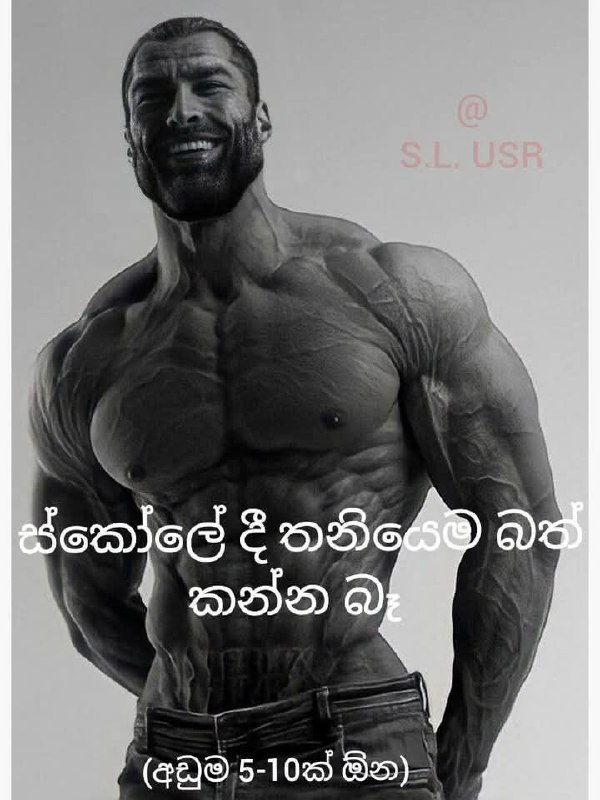 Meme World SL🇱🇰