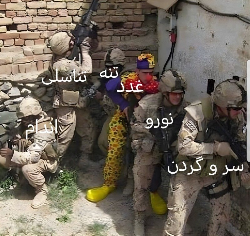 دروس تشریح علوم پایه در یک …