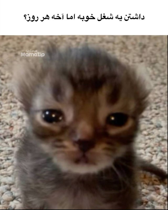 [#MeMe](?q=%23MeMe)