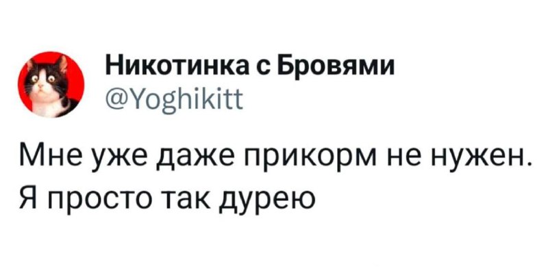 мемовый овраг