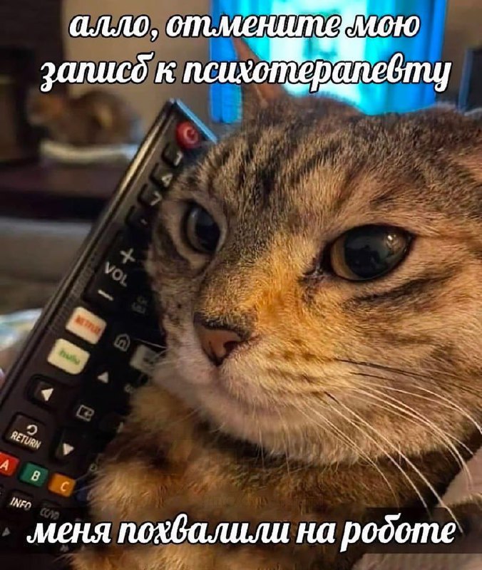 мемовый овраг