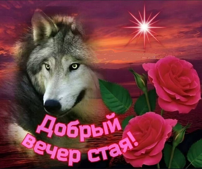 мемовый овраг