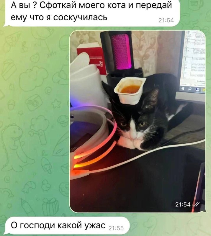 Сыр Индастриз 🧀