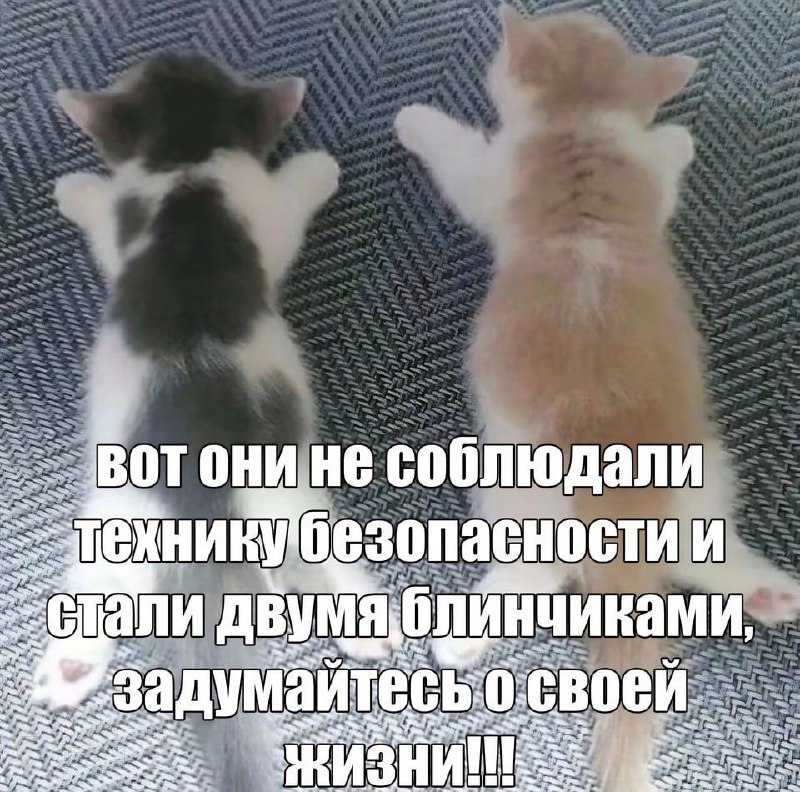 Мемы, которые мне понравились.