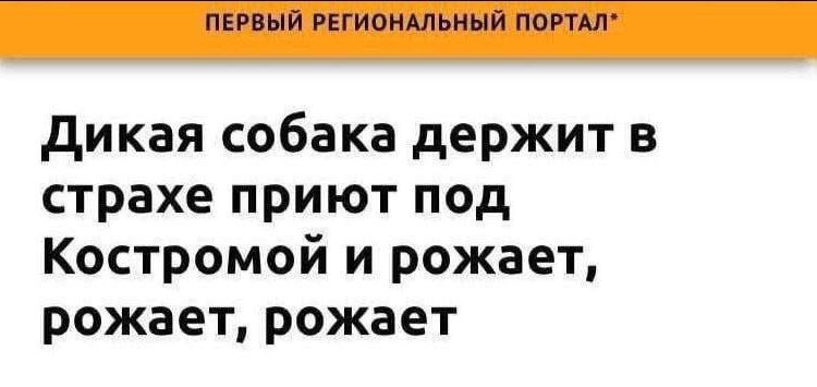 Мемы, которые мне понравились.