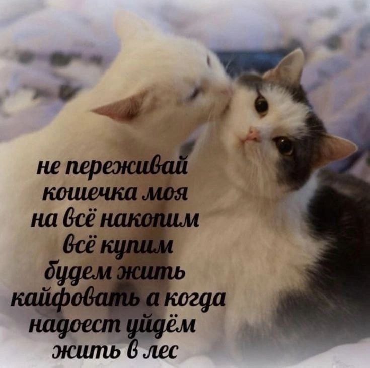 Мемы, которые мне понравились.