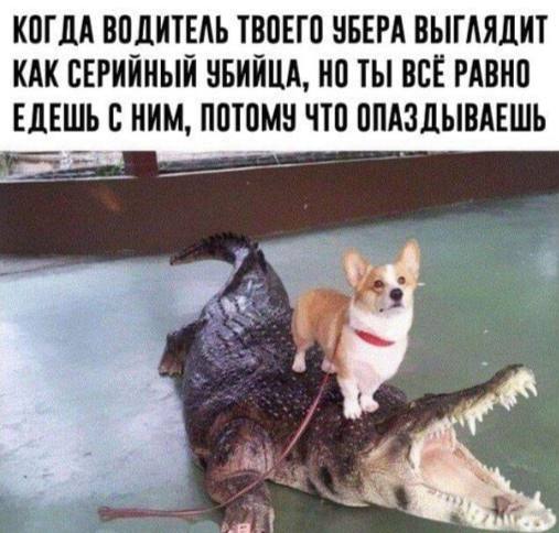 kek
