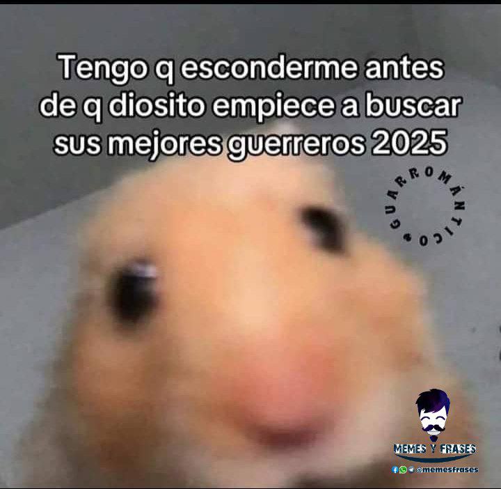 [@memesfrases](https://t.me/memesfrases)