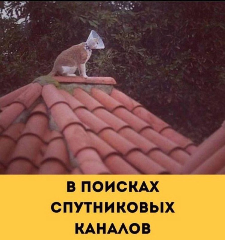 Мемы, которые я сохраняю для неё