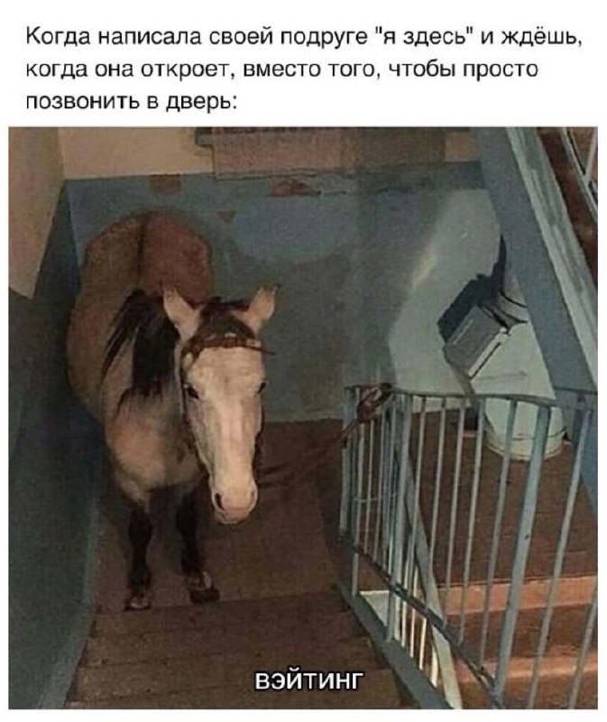 Мемы под лупой