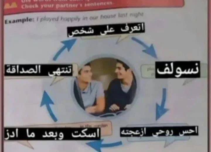 ميمز جامعي.