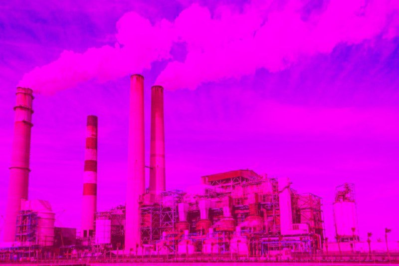 Porcodio fucsia pure nel settore secondario