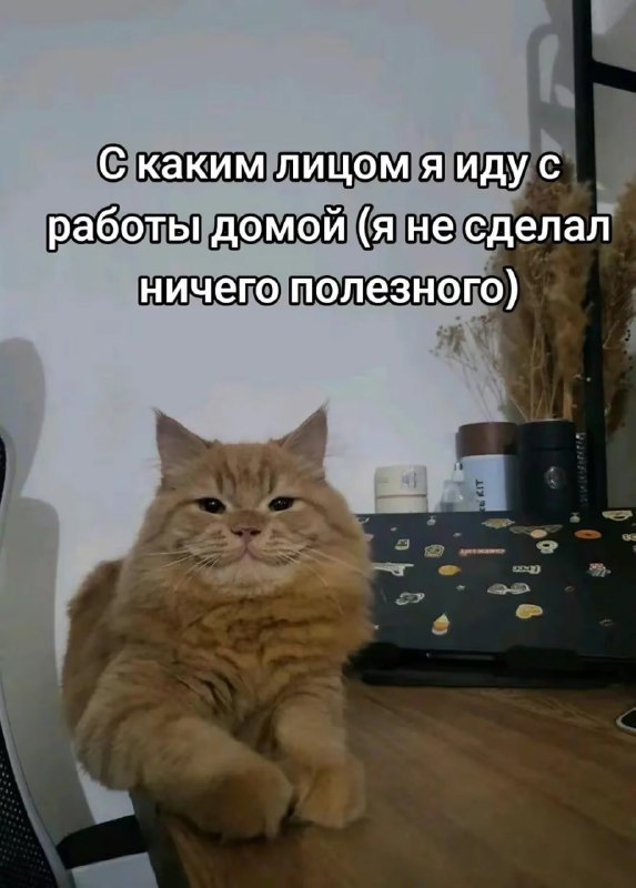 [Memes Hood](https://t.me/+nrrYeX33eZwzMGIy) | [Предложить мем](https://t.me/memhood_predlozhka_bot) | …