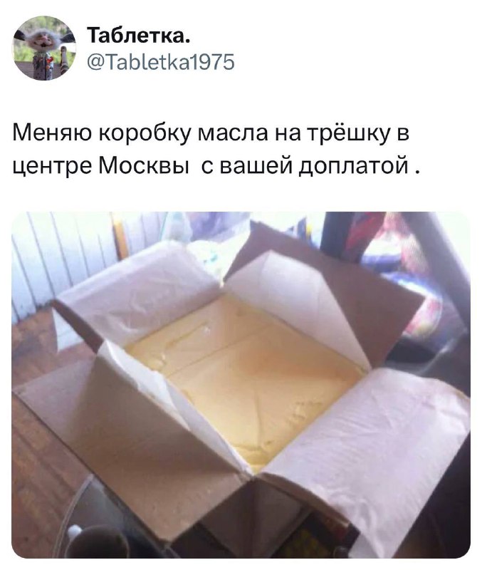 Мем в глаз попал