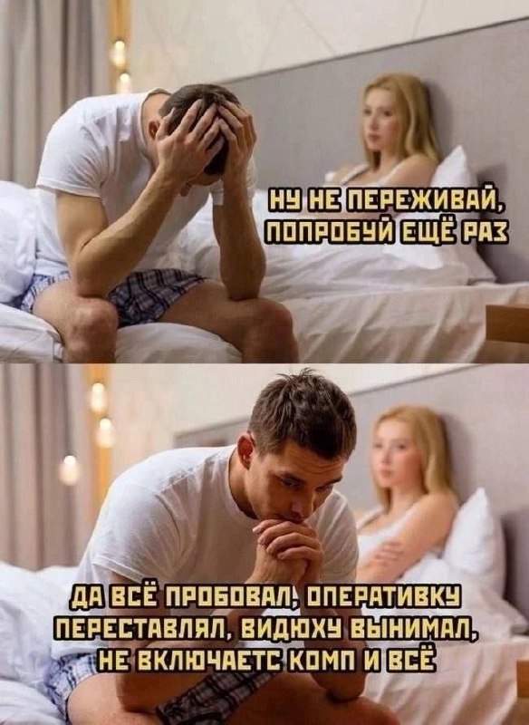 Мем, IT и два кота