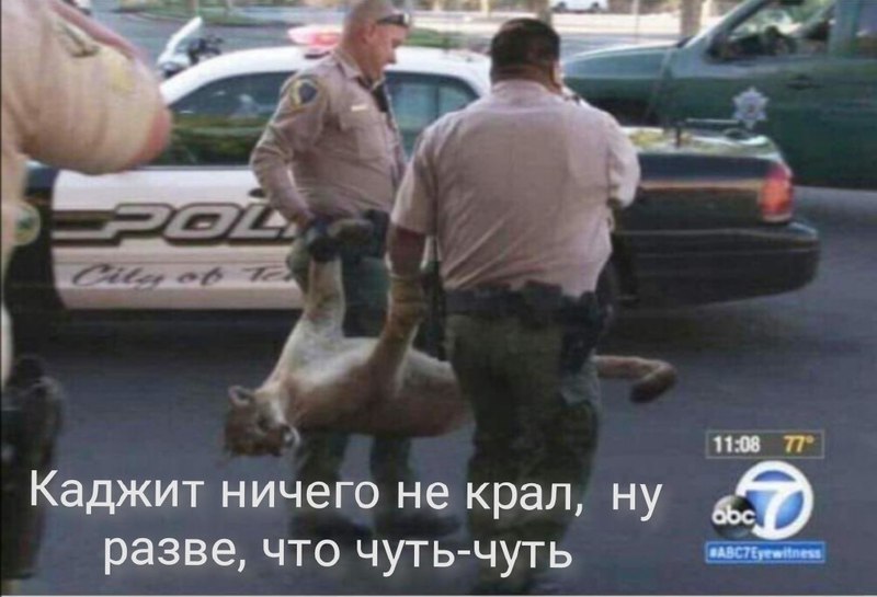 мем на