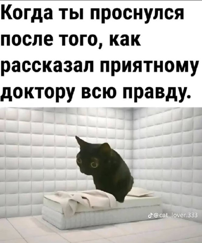 Бляд гадский