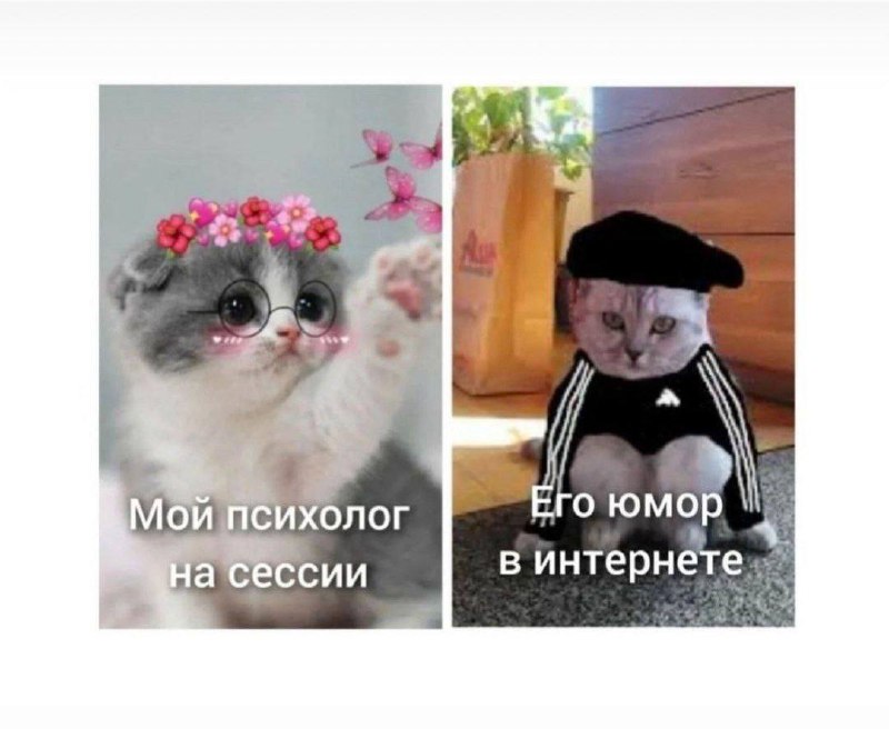 Мемы для психологов