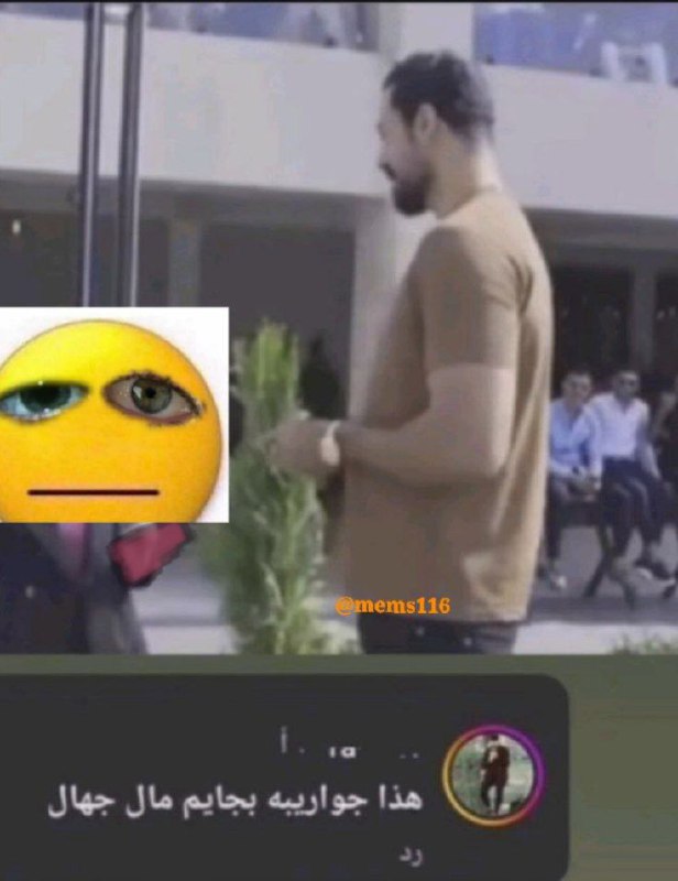 ميمز ?