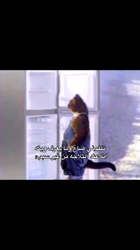 ميمز