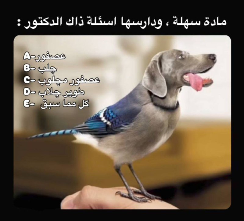 ميمز اهل الغيره
