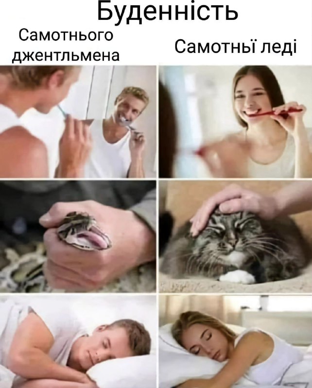 ✙Мемстер✙