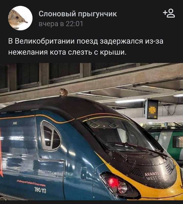 Высокоранговые мемы