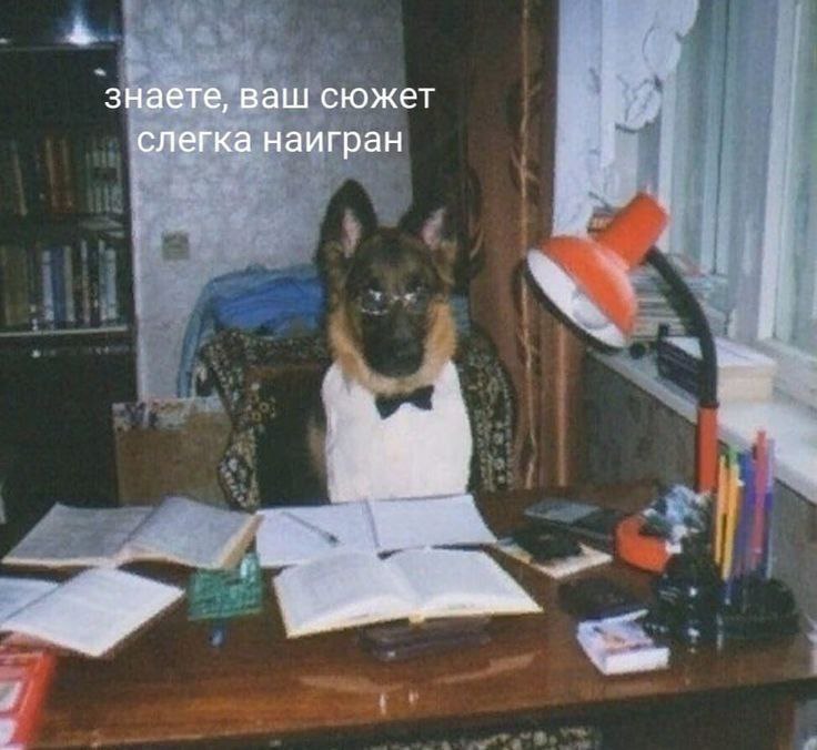 Домашние зверюги