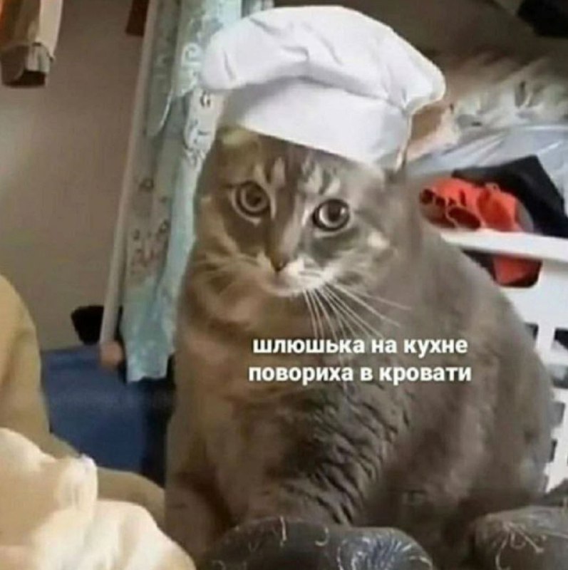 Домашние зверюги