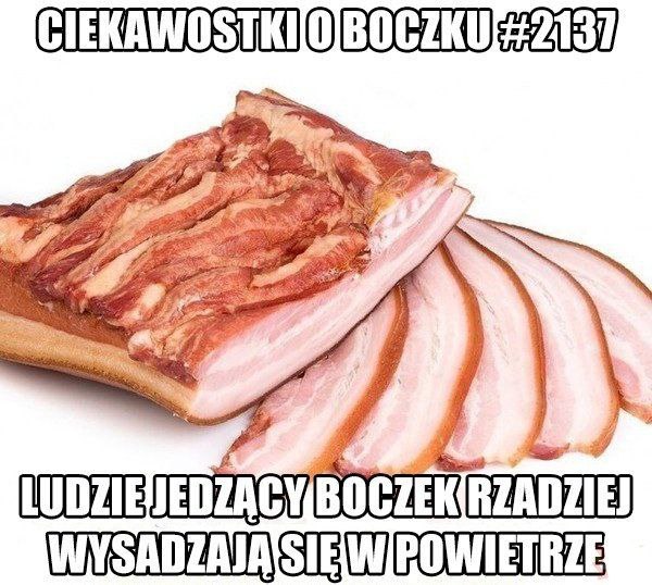 Historyczne i Polityczne Memy