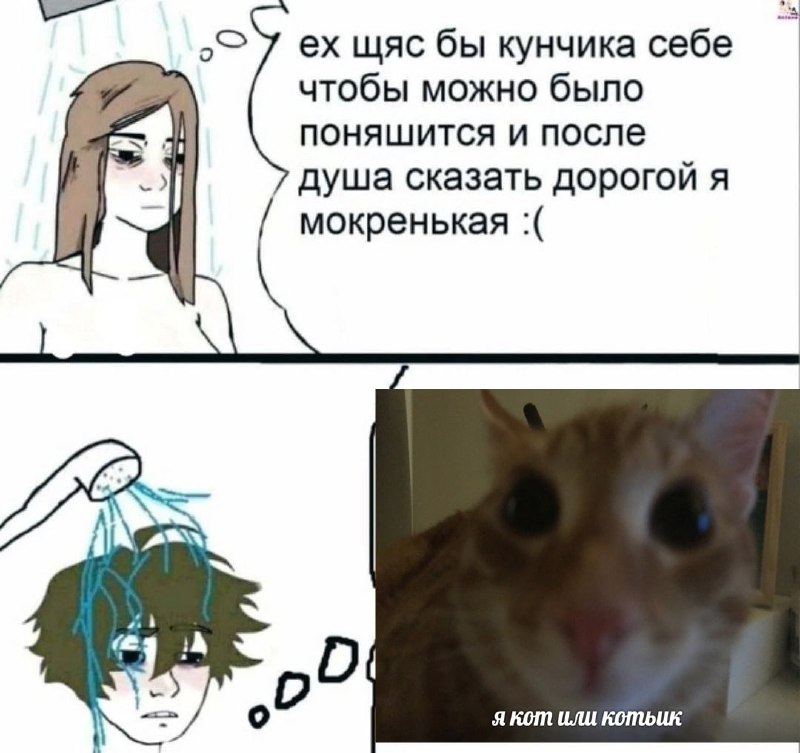 мемы про котов (по ржать)