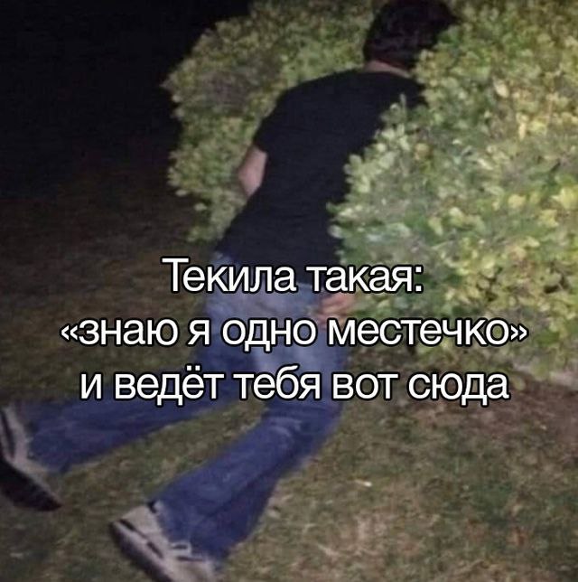 МЕМУС