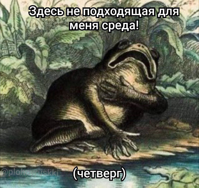 МЕМУС