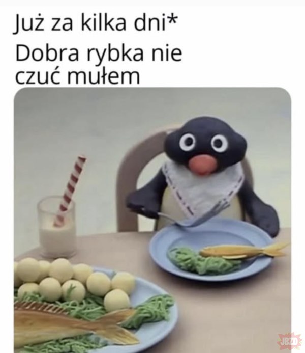 memy zajebiste