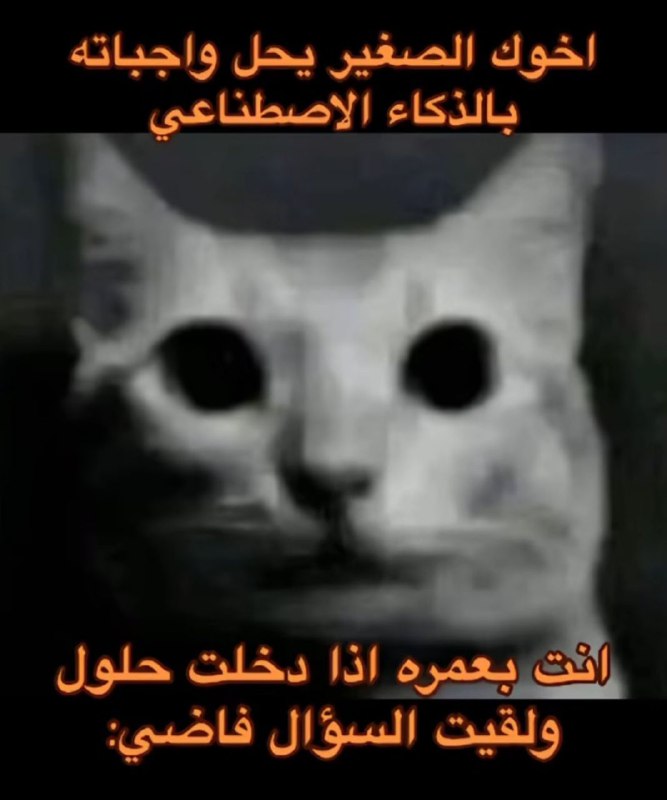 ميمز عشوائي