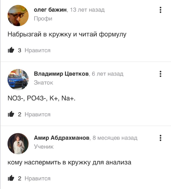 🧀 🧀 сыр неля ботан