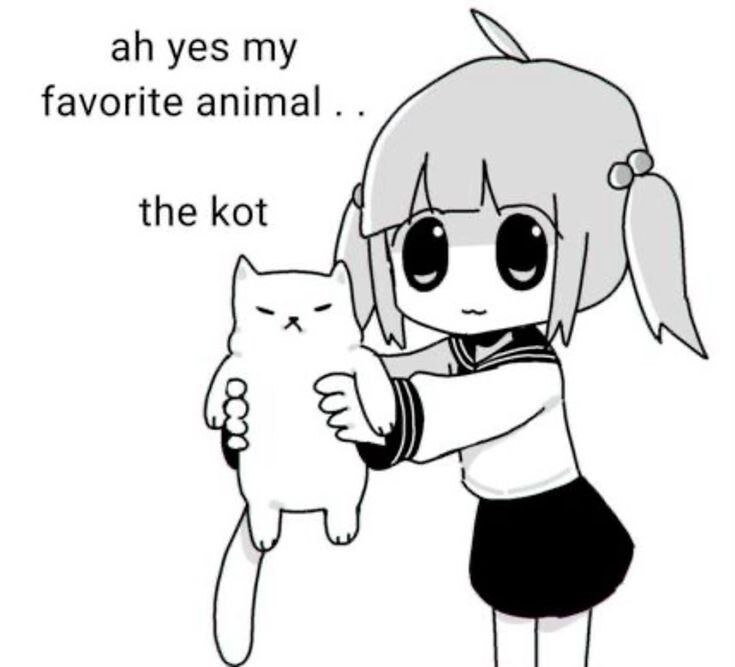 Catto posting