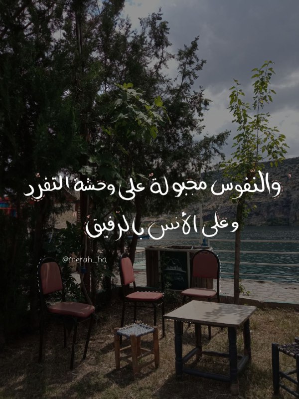 "والنّفوسُ مجبولةٌ على وحشة التّفرّد، وعلى …
