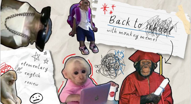 ***back to school with monkey memes …