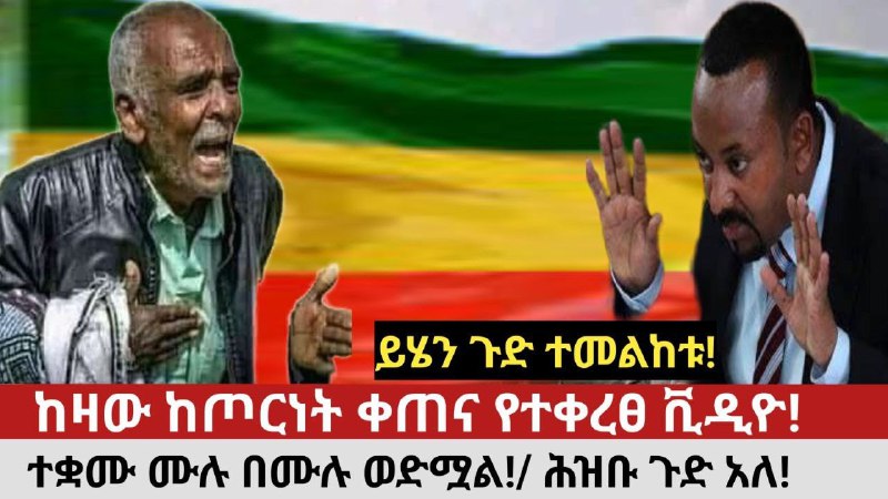 Mereb Media መረብ ሚዲያ