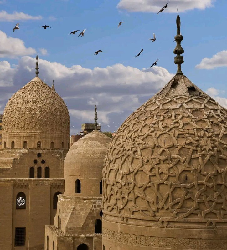 كيف يُمكن لرجُل عاقل، فطِن، سوي …