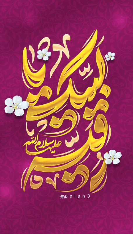نازدانه نوه‌ی شاه نجف آمده است...***🌱******✨***