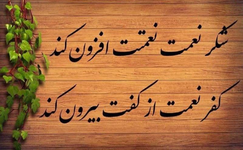 ***?***شکرنعمت یعنی تو کیف کنی از …