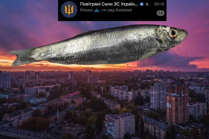 мештушня ?| #УкрМшт