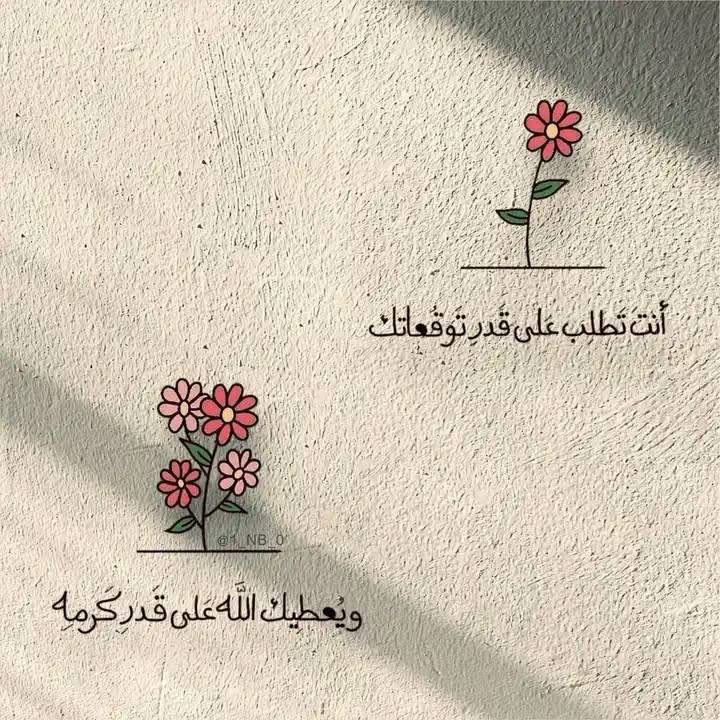 ***✨***